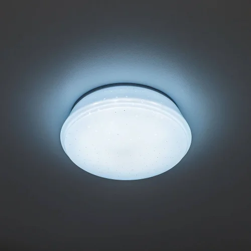 Светильник точечный LED Дельта CLD6008Nz Citilux белый 1 лампа, основание белое в стиле современный 