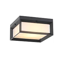 Потолочный светильник LED Cubista SL077.402.01 ST-Luce уличный IP54 чёрный 1 лампа, плафон белый в стиле современный LED