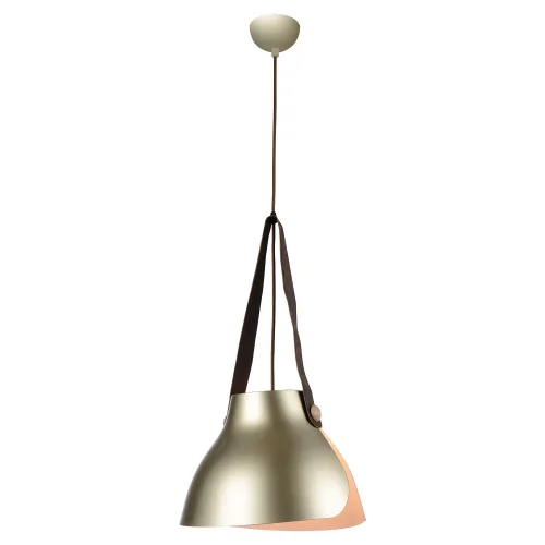Светильник подвесной лофт LSP-9843 Lussole серый 1 лампа, основание серое в стиле лофт 