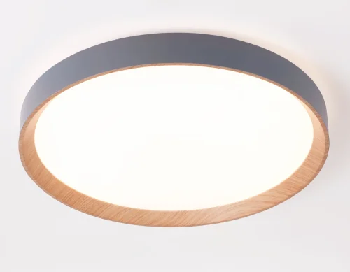 Светильник потолочный LED с пультом FZ1322 Ambrella light белый 1 лампа, основание коричневое серое в стиле современный хай-тек с пультом фото 3
