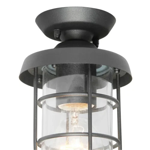 Потолочный светильник Pointer 3021-1P Favourite уличный IP44 чёрный 1 лампа, плафон прозрачный в стиле современный E27 фото 2