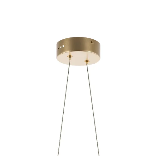 Светильник подвесной LED Varese 731303 Lightstar прозрачный 1 лампа, основание золотое в стиле современный хай-тек арт-деко  фото 3