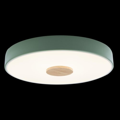Светильник потолочный LED Axel 10003/24 Green LOFT IT белый 1 лампа, основание зелёное в стиле современный  фото 5