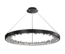 Люстра подвесная LED Рами 07668-60,19 Kink Light прозрачная чёрная на 1 лампа, основание чёрное в стиле современный кольца