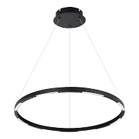 Светильник подвесной LED Desoto LSP-7229 Lussole чёрный 1 лампа, основание чёрное в стиле хай-тек современный кольца