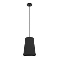 Светильник подвесной Petrosa 390132 Eglo чёрный 1 лампа, основание чёрное в стиле современный 