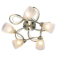 Люстра потолочная Rogers GRLSP-0188 Lussole белая на 5 ламп, основание бронзовое в стиле классический 