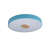 Светильник потолочный LED Axel 10003/24 Blue LOFT IT белый 1 лампа, основание голубое в стиле современный 