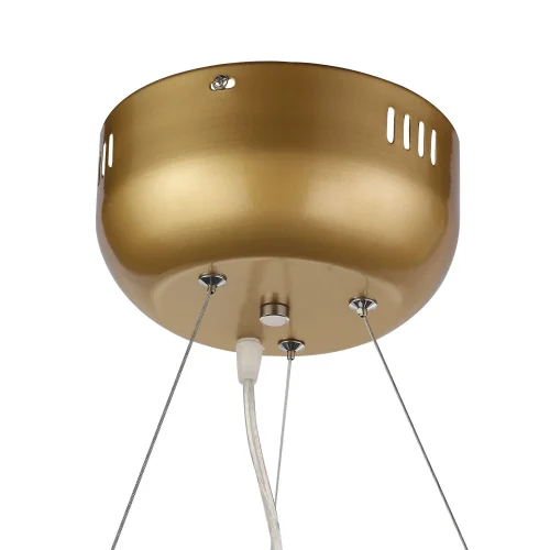 Люстра подвесная Riccardo SL411.233.45 ST-Luce прозрачная на 45 ламп, основание золотое в стиле современный ветви фото 5