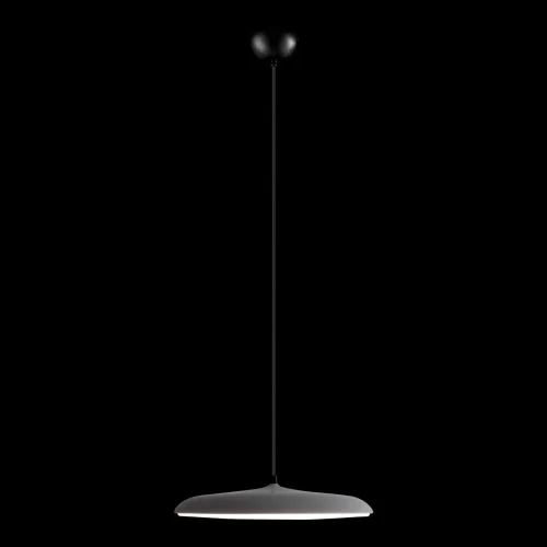 Светильник подвесной LED Plato 10119 Grey LOFT IT белый серый 1 лампа, основание чёрное в стиле современный  фото 2