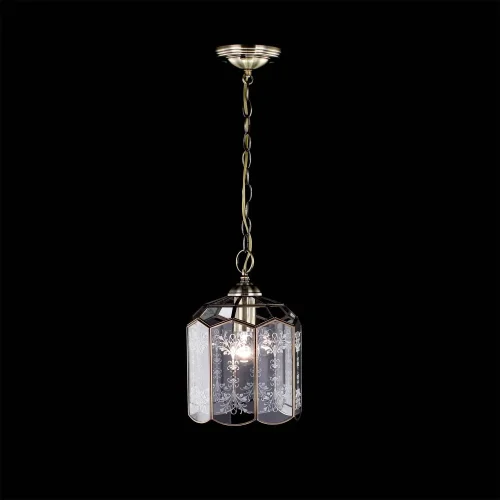 Светильник подвесной Витра-2 CL442210 Citilux прозрачный 1 лампа, основание бронзовое в стиле замковый кантри  фото 2