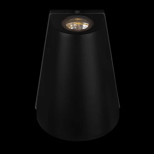 Настенный светильник LED Eterno 100004/2 LOFT IT уличный IP54 чёрный 2 лампы, плафон чёрный в стиле современный хай-тек LED фото 8