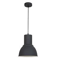 Светильник подвесной лофт LASO 3327/1 Odeon Light чёрный 1 лампа, основание чёрное в стиле лофт 