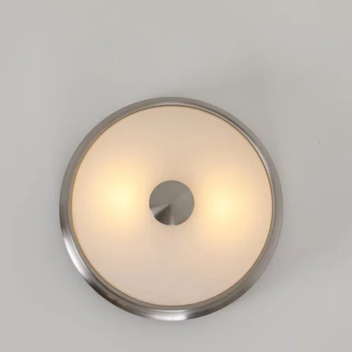 Светильник потолочный Pannikin 2691-2C Favourite белый 2 лампы, основание никель в стиле современный  фото 2
