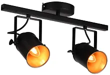 Спот с 2 лампами Neider 3015/02/02C Stilfort чёрный E27 в стиле лофт 