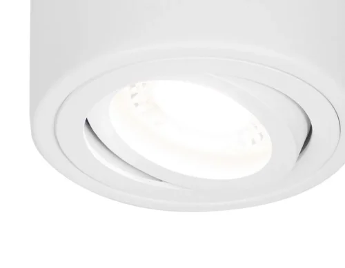 Светильник накладной TN225 Ambrella light белый 1 лампа, основание белое в стиле современный круглый фото 2