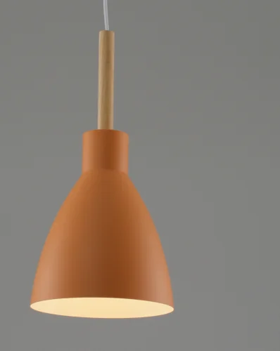Светильник подвесной Toni V10650-1P Moderli бежевый оранжевый 1 лампа, основание оранжевое в стиле современный лофт скандинавский  фото 3