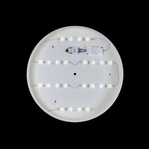 Светильник потолочный LED Axel 10002/24 White LOFT IT белый 1 лампа, основание белое в стиле современный  фото 3