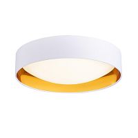 Светильник потолочный LED Orbio SLE201122-01 Evoluce белый 1 лампа, основание белое золотое в стиле современный 