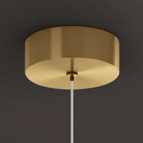 Светильник подвесной CURTISS brass 189879-23 ImperiumLoft латунь 1 лампа, основание латунь в стиле современный  фото 7