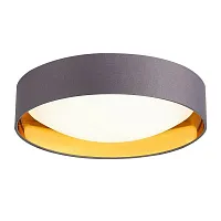 Светильник потолочный LED Orbio SLE201112-01 Evoluce серый белый 1 лампа, основание серое золотое в стиле современный 
