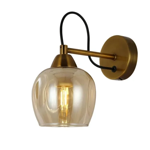 Бра Acro SLE110001-01 Evoluce янтарный на 1 лампа, основание бронзовое в стиле современный 