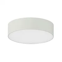 Светильник накладной LED Тао CL712120N Citilux белый 1 лампа, основание белое в стиле современный круглый