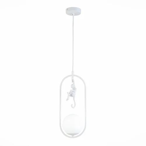Светильник подвесной Tenato SLE115123-01 Evoluce белый 1 лампа, основание белое в стиле современный обезьяна