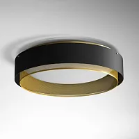Светильник потолочный CASING C 62 черный 140595-26 ImperiumLoft чёрный 1 лампа, основание золотое в стиле лофт 