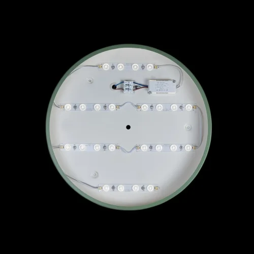 Светильник потолочный LED Axel 10003/24 Green LOFT IT белый 1 лампа, основание зелёное в стиле современный  фото 3