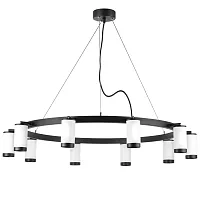 Люстра подвесная Rullo LR02036837 Lightstar белая чёрная на 10 ламп, основание чёрное в стиле хай-тек Люстра подвесная Rullo LR02036837 Lightstar белая чёрная на 10 ламп, основание чёрное в стиле хай-тек
