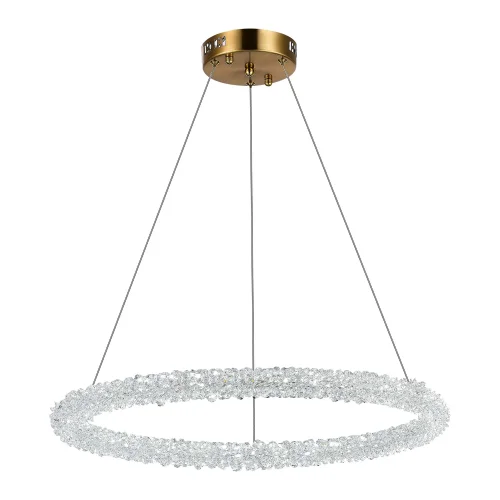 Люстра подвесная LED с пультом Avana SL6110.213.01 ST-Luce прозрачная на 1 лампа, основание золотое в стиле современный с пультом кольца фото 4