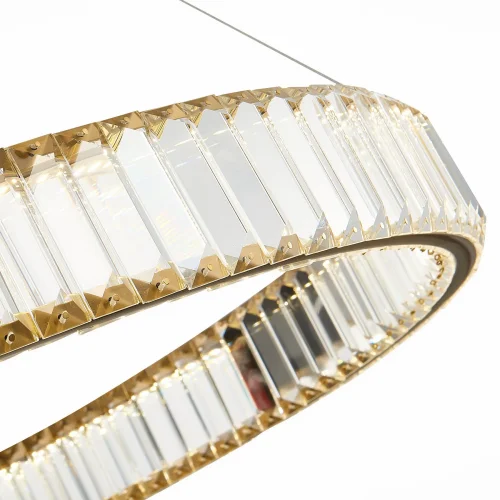 Люстра подвесная LED Tivoli SL1622.313.01 ST-Luce прозрачная на 1 лампа, основание латунь в стиле современный кольца фото 3