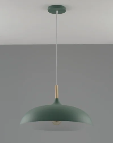 Светильник подвесной Hygo V10656-1P Moderli зелёный 1 лампа, основание зелёное в стиле лофт скандинавский современный  фото 3
