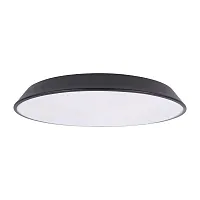 Светильник потолочный LED Brim 10226 Black LOFT IT белый 1 лампа, основание чёрное в стиле современный 