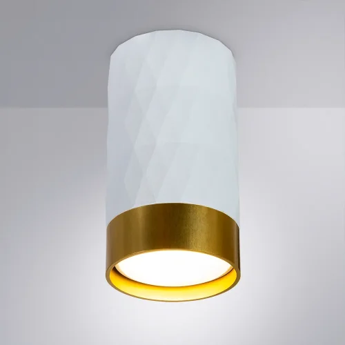 Светильник накладной Fang A5558PL-1WH Arte Lamp белый 1 лампа, основание белое в стиле минимализм современный круглый фото 2