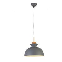 Светильник подвесной 1105/1S Escada серый 1 лампа, основание серое в стиле современный 