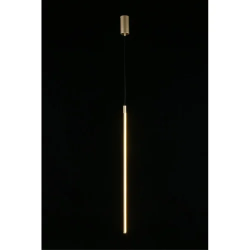 Светильник подвесной LED Gabi APL.0123.16.15 Aployt золотой 1 лампа, основание золотое в стиле современный трубочки фото 3