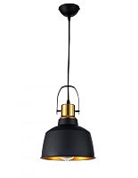 Светильник подвесной лофт Priamo E 1.3.P2 B Arti Lampadari золотой 1 лампа, основание чёрное в стиле лофт 
