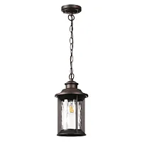 Подвесной светильник Mavret 4961/1 Odeon Light уличный IP44 коричневый 1 лампа, плафон прозрачный в стиле классика E27