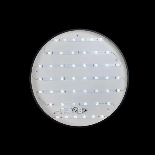 Светильник потолочный LED Axel 10002/48 Black LOFT IT белый 1 лампа, основание чёрное в стиле современный  фото 3