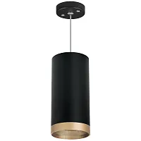 Светильник подвесной Rullo RP648790 Lightstar чёрный 1 лампа, основание чёрное в стиле модерн 