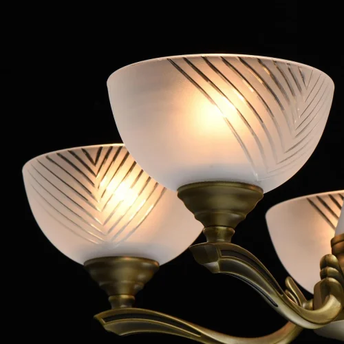 Люстра подвесная Афродита 317014705 MW-Light белая на 5 ламп, основание латунь в стиле классический  фото 5