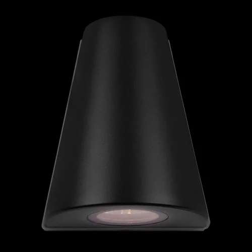 Настенный светильник LED Eterno 100004/2 LOFT IT уличный IP54 чёрный 2 лампы, плафон чёрный в стиле современный хай-тек LED фото 6