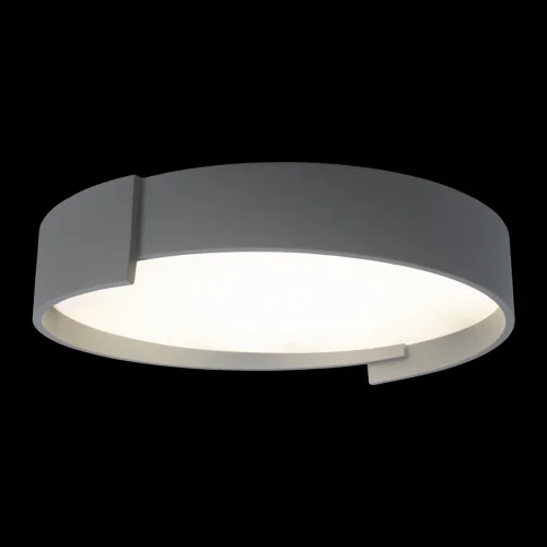 Светильник потолочный LED Coin 10200 Grey LOFT IT белый 1 лампа, основание серое в стиле современный  фото 2
