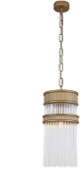 Светильник подвесной Turris 4200-1P Favourite прозрачный 1 лампа, основание матовое золото в стиле классический 