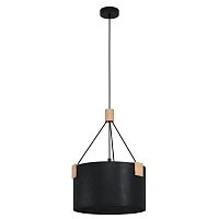 Светильник подвесной Potosi 39944 Eglo чёрный 1 лампа, основание чёрное в стиле современный 