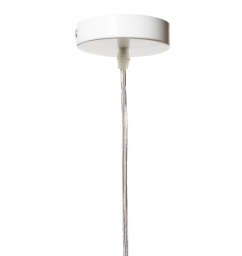 Светильник подвесной LOFT1806 LOFT IT прозрачный 1 лампа, основание белое в стиле лофт птички фото 3