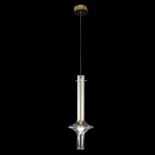Светильник подвесной LED Tube 10061GD LOFT IT прозрачный 1 лампа, основание золотое в стиле современный трубочки фото 2