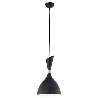 Светильник подвесной Marion GRLSP-8150 Lussole чёрный 1 лампа, основание чёрное в стиле современный 